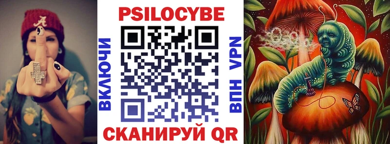 Псилоцибиновые грибы Cubensis  блэк спрут tor  Новороссийск 