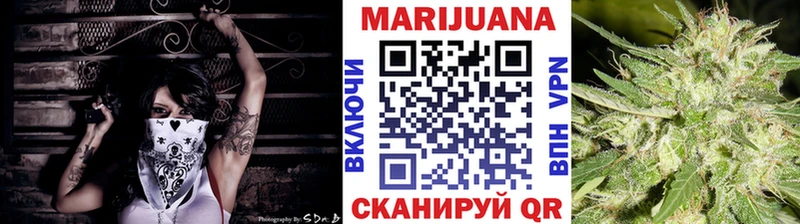blacksprut Новороссийск Бошки марихуана сатива